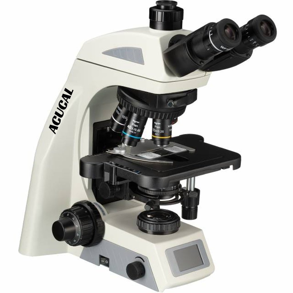 Product View